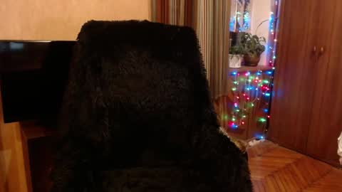 Snapshot of norma_gin chatting on January 13, 6:16 pm miss Tress online show from January 13, 6:16 pm