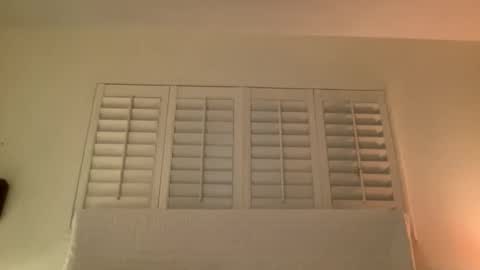 noscandal online show from November 14, 5:07 am