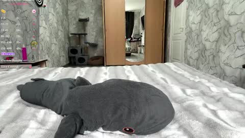 Amelia online show from May 8, 7:44 am