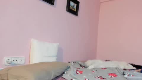 Merce   online show from January 17, 8:24 am