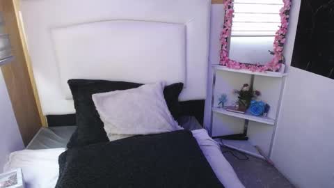 Palmer online show from March 10, 1:00 pm