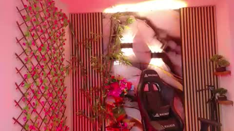 Pam online show from November 13, 5:45 pm