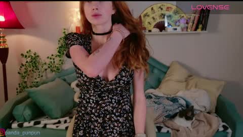  off - Tuesday and wednesdayfriday online show from December 9, 11:04 am