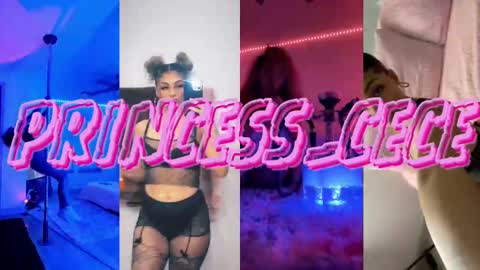 Snapshot of princess_cece chatting on February 15, 3:42 am Cece NEXT LIVESTREAM -- DEC. 4th 7 PM CST online show from February 15, 3:42 am