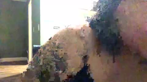 Snapshot of queenkitty477 chatting on October 8, 9:30 pm queenkitty477 online show from October 8, 9:30 pm