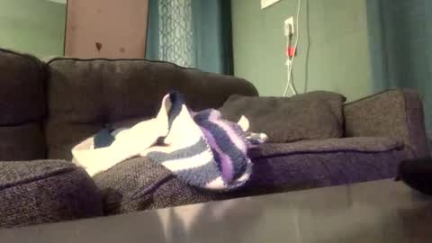 queenkitty477 online show from January 6, 4:27 am