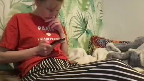 Redfox online show from November 20, 7:48 pm