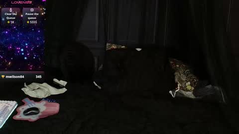 roguerei online show from November 24, 4:14 am