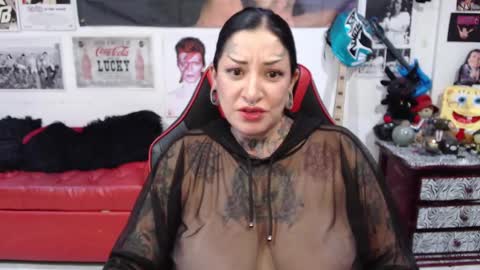 Snapshot of rollyderolandia666 chatting on December 9, 9:48 pm Rolly online show from December 9, 9:48 pm