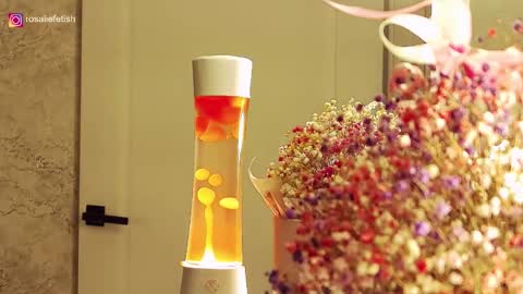 Rosalie online show from November 15, 1:39 am