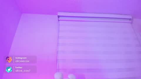   online show from February 10, 11:04 am