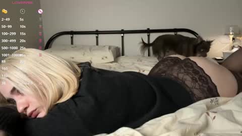  - my telegram channel online show from February 9, 3:03 pm