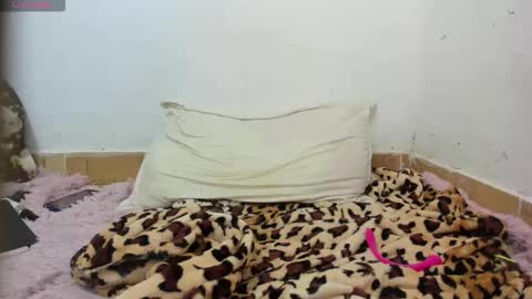 Rosita online show from November 8, 9:03 am