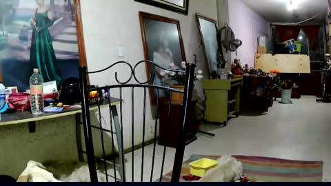 ruby  chocoholic cakeholic coffeeholic cookieholic online show from November 18, 12:11 am