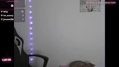 saraa rouss online show from November 14, 7:08 am