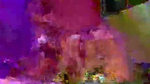 savagetonguee online show from December 5, 8:10 pm