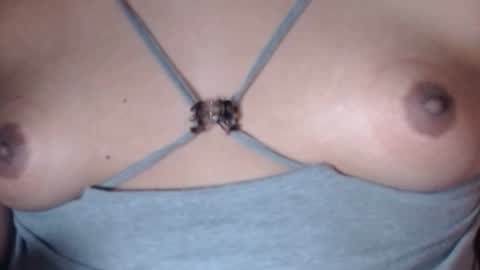 Selda online show from February 1, 3:27 am