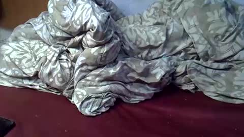 sexycarina254 online show from November 23, 5:25 pm