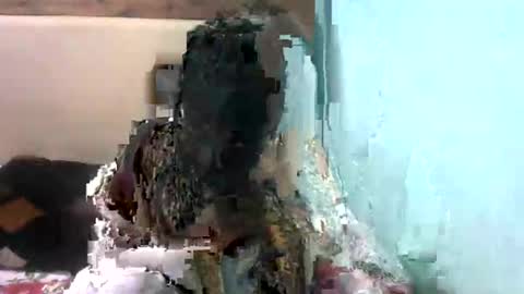 sexykishy online show from January 15, 9:26 am