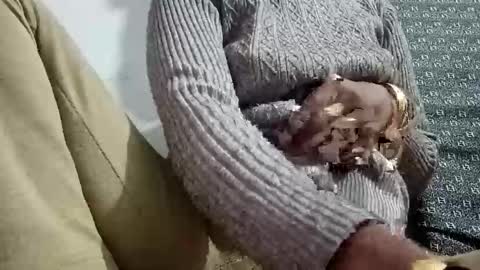 sexymaya8642 online show from November 16, 4:25 am