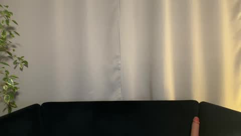 Amelia online show from January 29, 7:00 pm