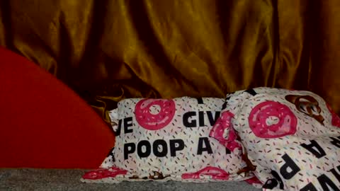 Noname online show from March 2, 3:19 pm