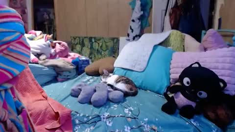 DIAN dee-ann online show from January 10, 5:24 pm