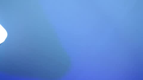 sofia online show from November 13, 8:52 pm