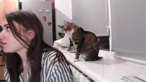 Sofi online show from February 11, 7:38 pm