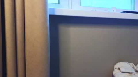 Sofia online show from October 26, 9:38 am