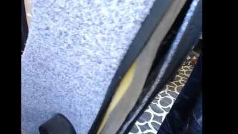 Rose online show from December 4, 8:53 pm