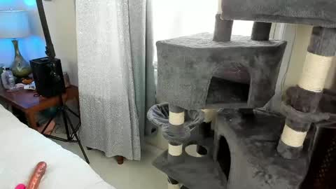 Snapshot of spankamber chatting on September 17, 10:52 pm AmberSpanks online show from September 17, 10:52 pm