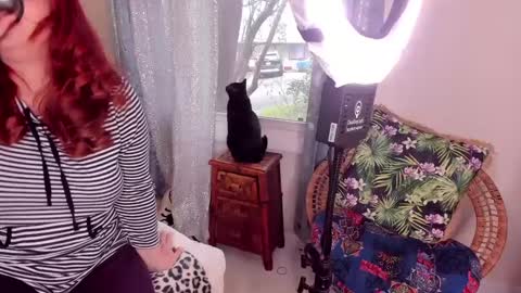 Snapshot of spankamber chatting on January 31, 11:45 pm AmberSpanks online show from January 31, 11:45 pm