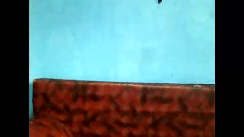 Malicia online show from November 22, 11:13 am