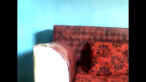 Malicia online show from November 10, 8:31 am