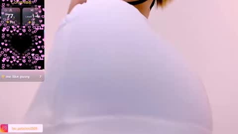 Stefa  online show from November 15, 8:15 am