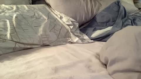 Summer online show from November 26, 6:31 pm