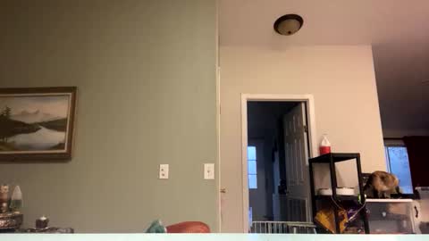 Sunny Clementine online show from November 14, 3:12 pm