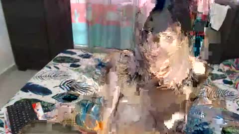 Ariadna online show from January 13, 4:33 pm