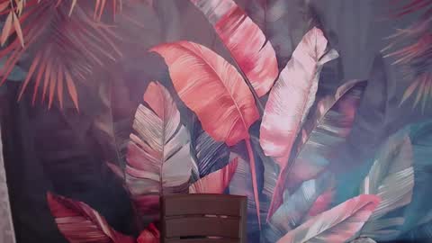 Suzann online show from February 15, 2:37 am