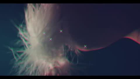 TAANNI online show from October 13, 11:18 pm