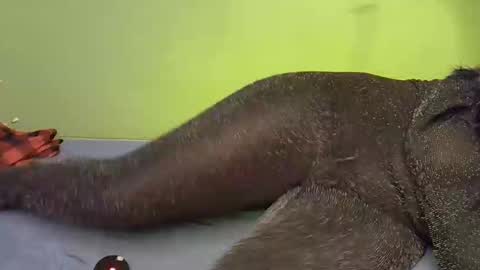 tamara_byb online show from November 24, 7:10 am