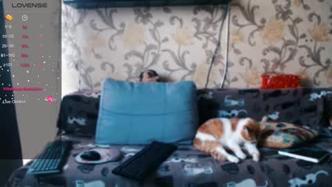 Ada  online show from December 17, 9:13 am