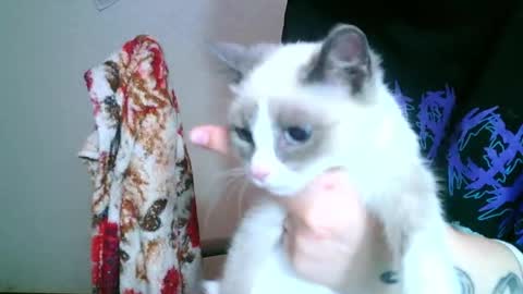 the_ice_owl online show from October 8, 9:24 am