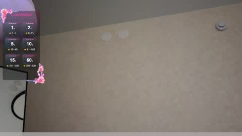 Elma online show from January 8, 4:49 am