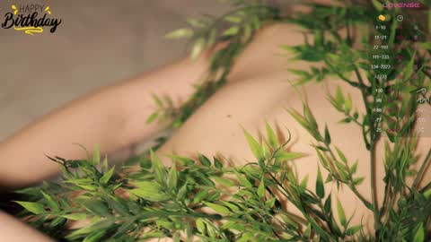 Toshi online show from December 29, 1:06 pm