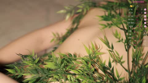 Toshi online show from December 2, 1:01 pm