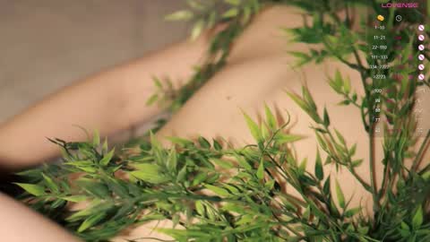 Toshi online show from October 20, 1:03 pm