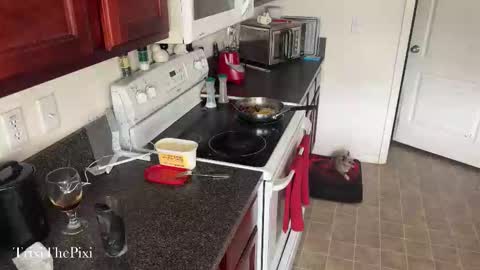 Trixis little world 3 online show from October 27, 4:02 pm