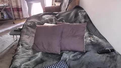 Lana online show from November 5, 2:28 am